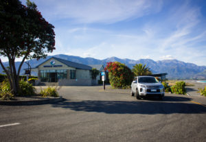 Brilliant Rentals - 8 reasons why Kaikoura is a must include destination in your South Island Roundtrip