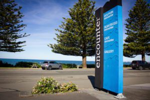 Brilliant Rentals - 8 reasons why Kaikoura is a must include destination in your South Island Roundtrip