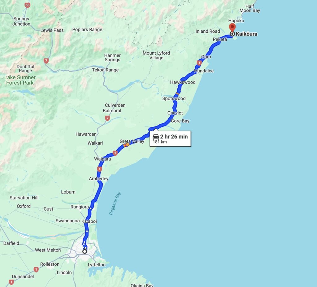 11Days / 10Nights South Island Road Trip Itinerary