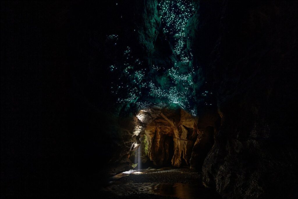 Brilliant Rentals Car Hire Christchurch NZ - Top 6 things to do on the West Coast - Underworld Adventure