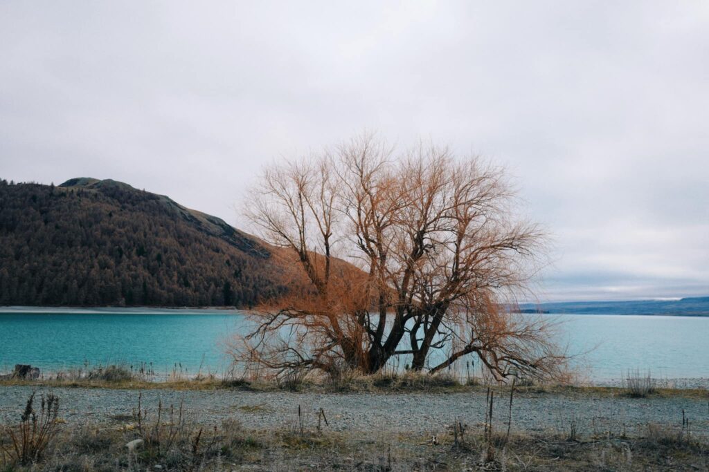 Brilliant Rentals Car Hire Rent a Car Christchurch NZ