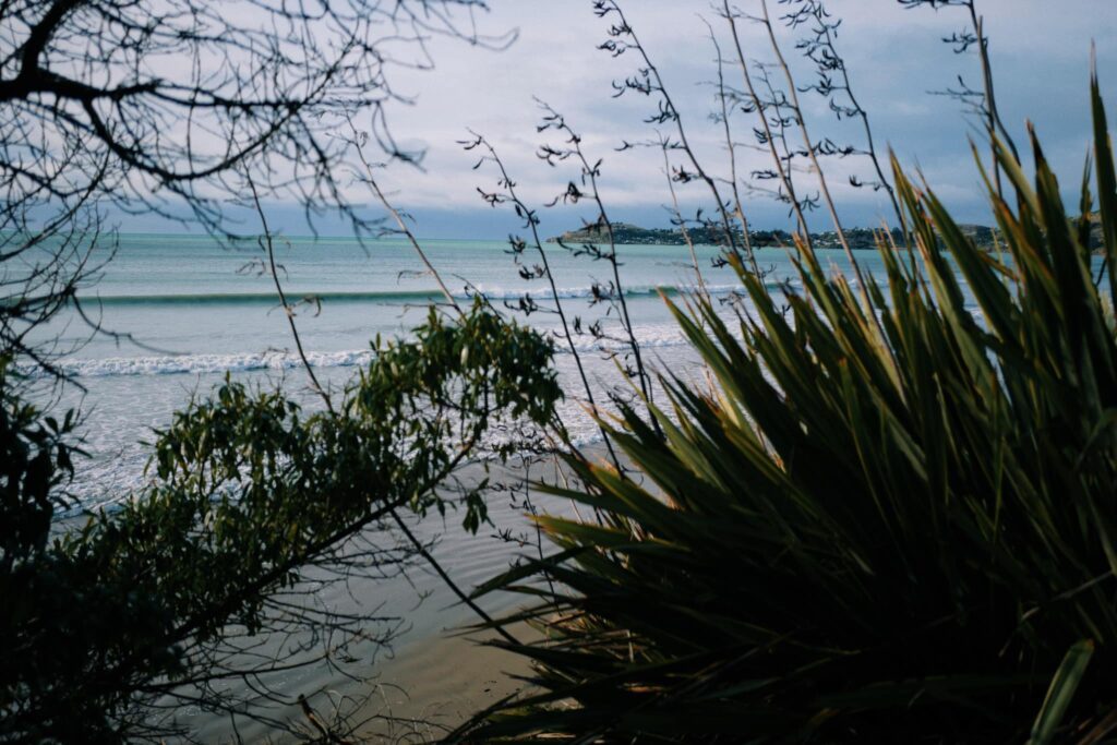 Brilliant Rentals Car Hire Rent a Car Christchurch NZ