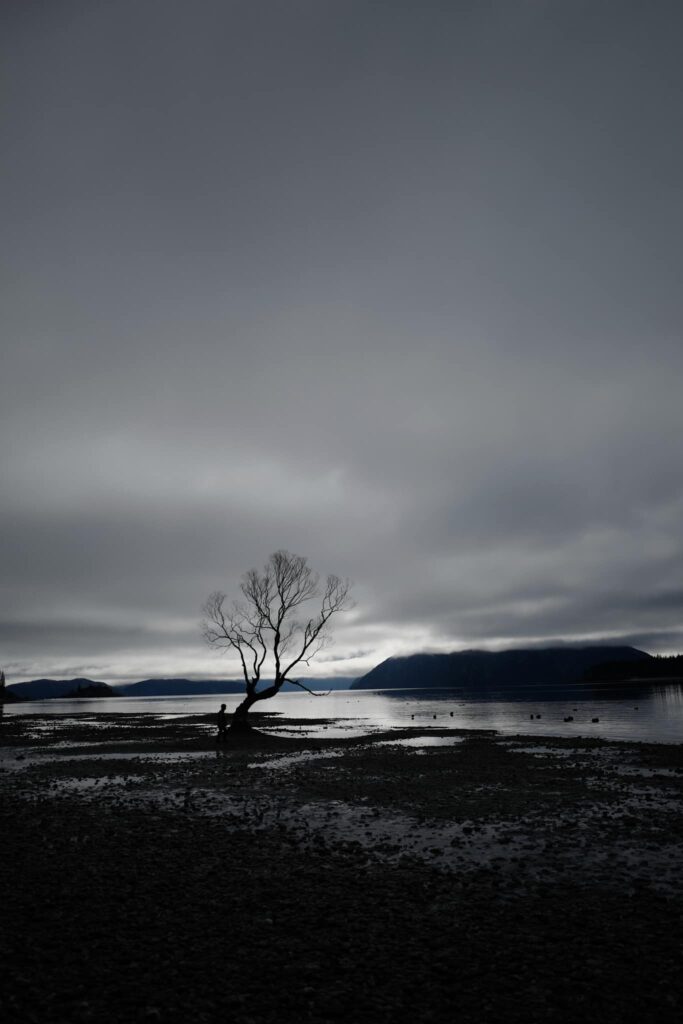 Brilliant Rentals Car Hire Rent a Car Christchurch NZ