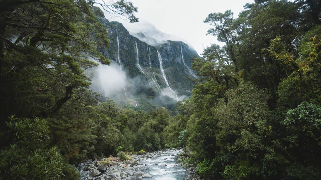 Brilliant Rentals Car Hire Rent a Car Christchurch NZ