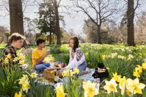 Brilliant Rentals Car Hire Rent a Car Christchurch NZ