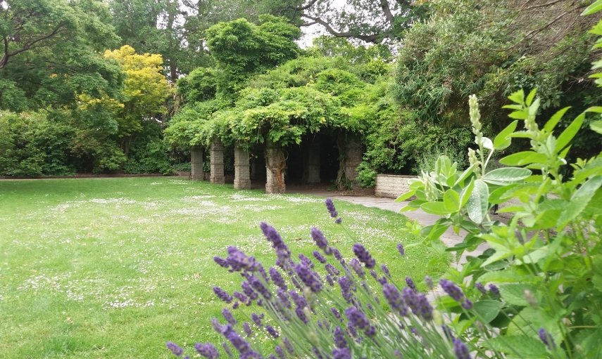 Brilliant Rentals Car Hire Rent a Car Christchurch NZ