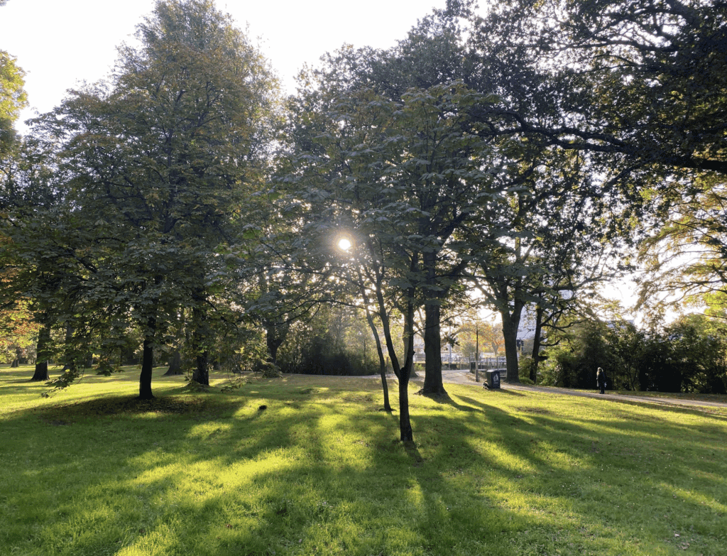 Brilliant Rentals Car Hire Rent a Car Christchurch NZ