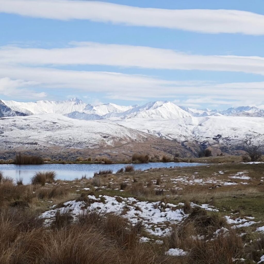 Brilliant Rentals Car Hire Rent a Car Christchurch NZ