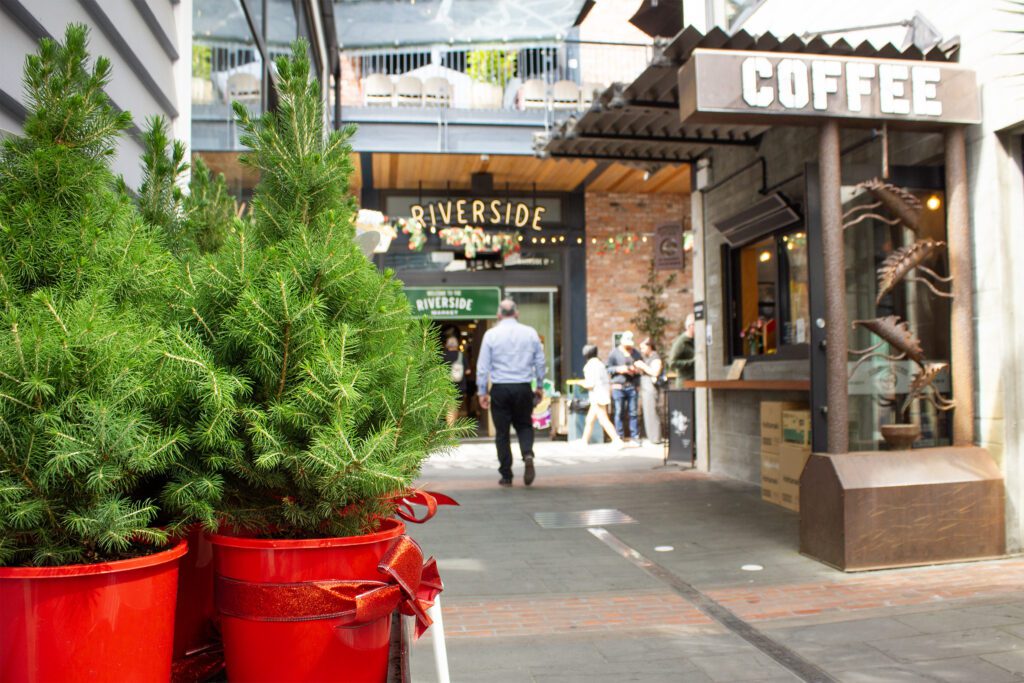 Brilliant Rentals Car Hire Rent a Car Christchurch NZ