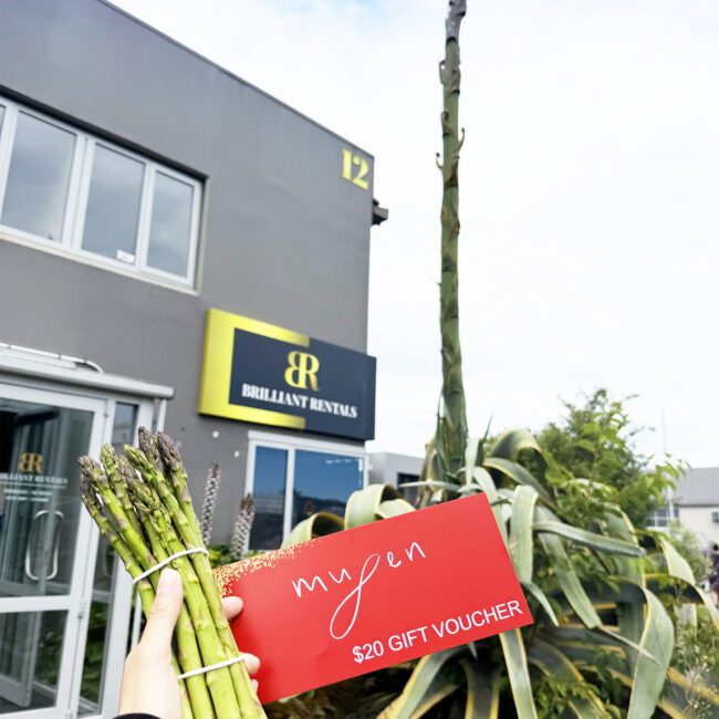 Brilliant Rentals Car Hire Rent a Car Christchurch NZ