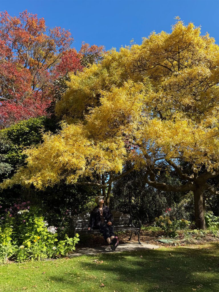 Brilliant Rentals Car Hire Rent a Car Christchurch Airport NZ