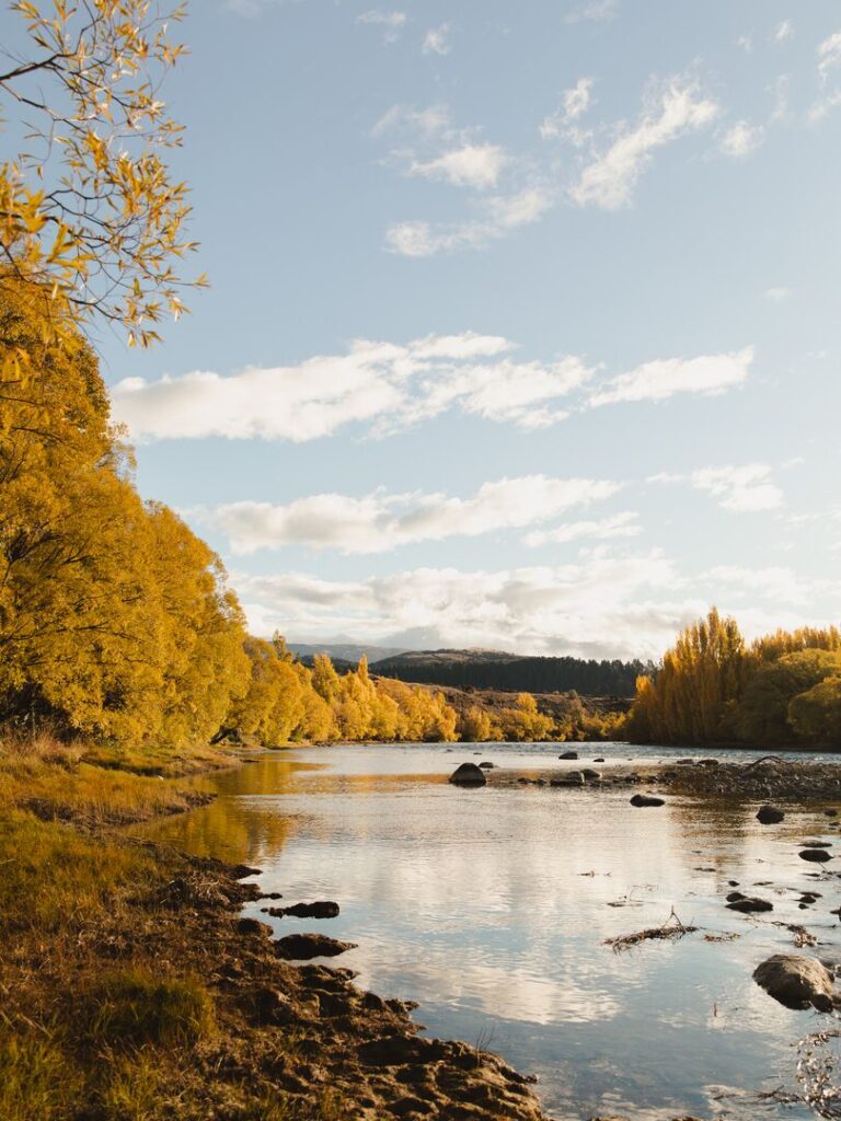 Brilliant Rentals Car Hire Rent a Car Christchurch Airport NZ